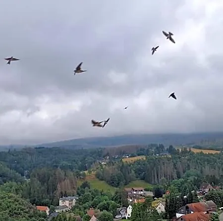 Brockenblick Altenau (Lower-Saxony)